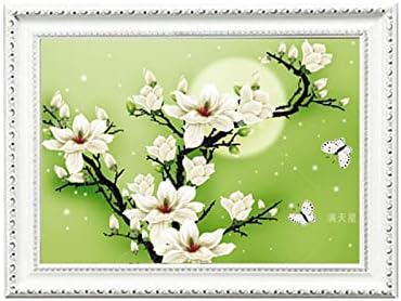 Foxhool Beginners Cross Stitch Kits Stamped Full Range of Embroidery Kits for Adults DIY Cross Stitches kit Embroidery Patterns for Needlepoint kit-אור